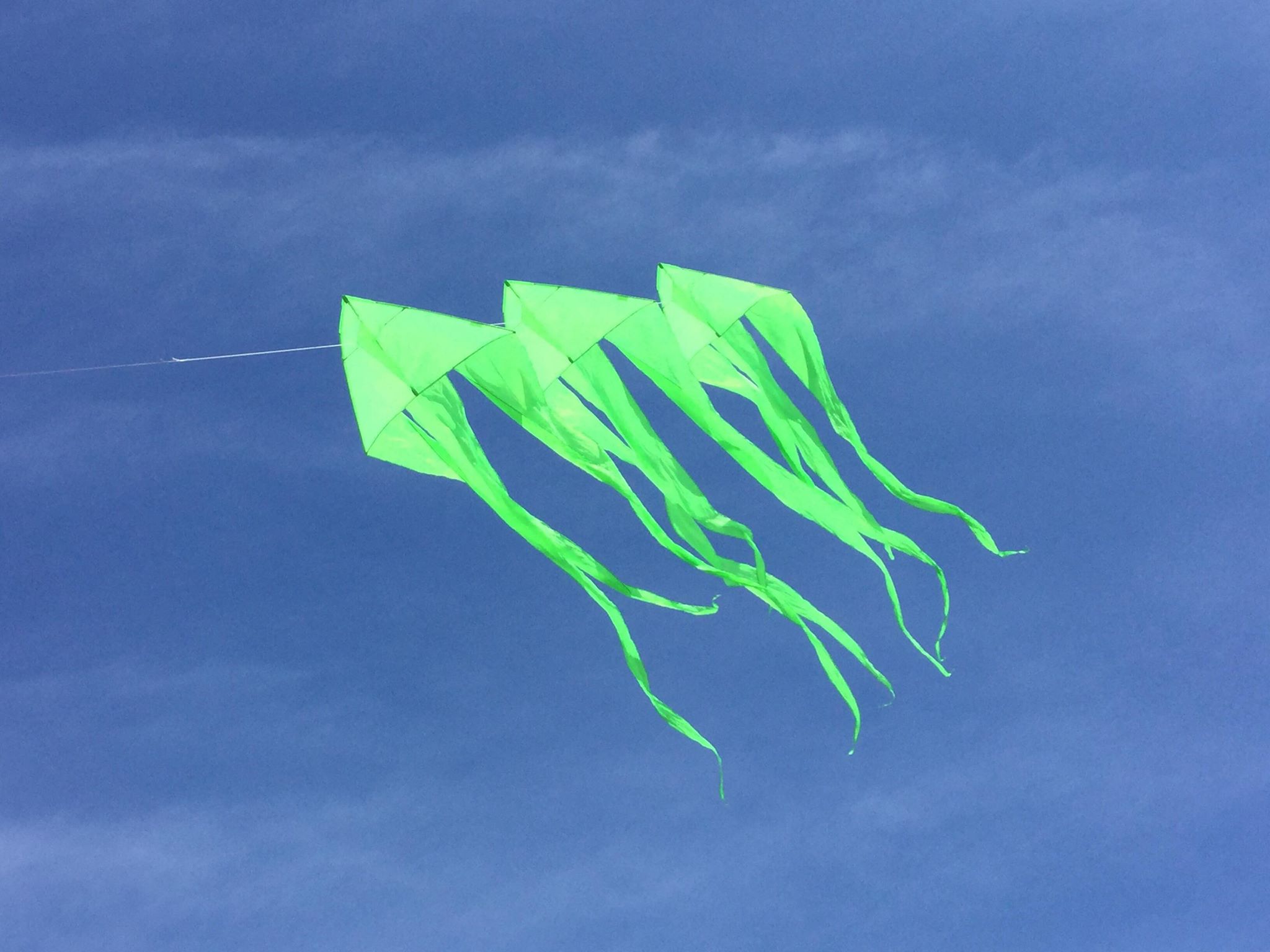 Reel HQ Delta Sport Rainbow Kite 79 x 39" Bag Swivel Hook Line Tails 