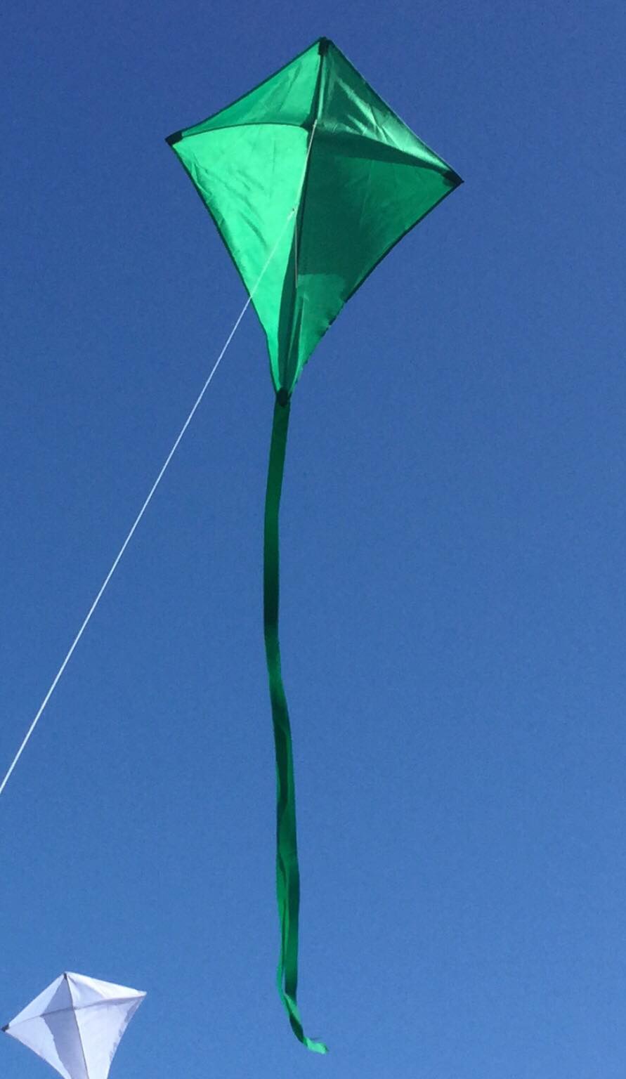 Single Line Kites