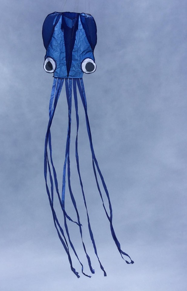 13ft pocket octopus blue