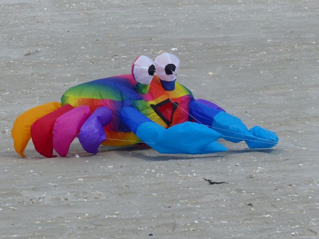 bouncing crab gradient rainbow